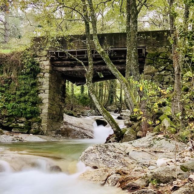 Puente-640